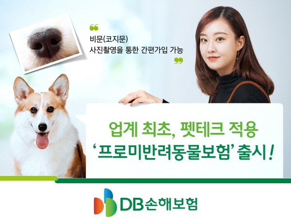 DB손해보험, 업계최초 펫테크 적용 '프로미반려동물보험' 출시(DB손해보험 제공)