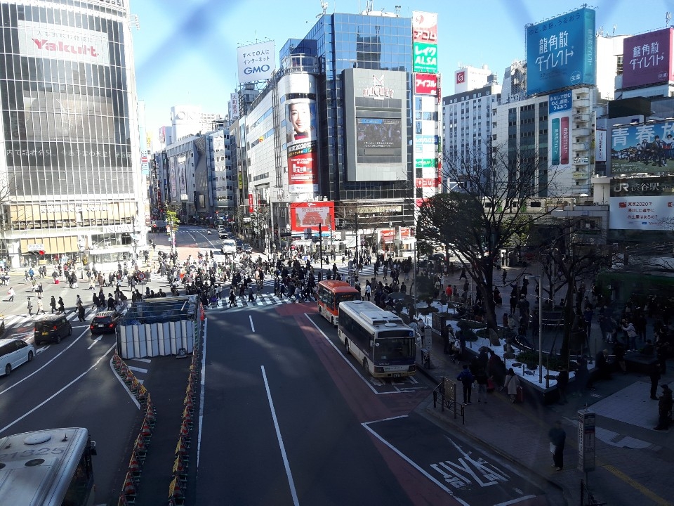 9일 도쿄 시부야(渋谷)스크램블을 횡단하는 사람들의 모습 (사진=최지희 기자) 