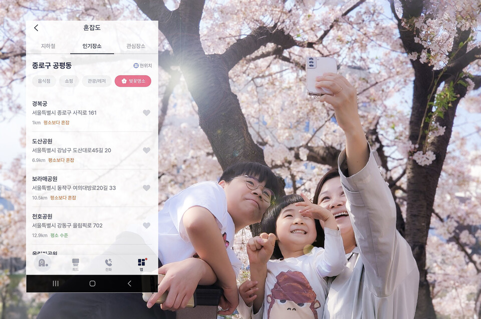 AI 개인비서 ‘에이닷’에 추가된 벚꽃 명소 혼잡도 정보. 사진=SKT 제공