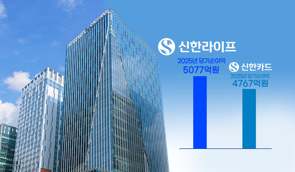 신한라이프, 신한카드 제치고 비은행 1위... 신한금융 '효자' 등극 - 뉴스 썸네일 이미지